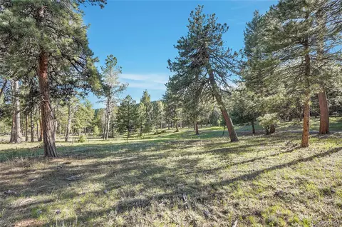 Molly Dr, Conifer, CO 80433 photo 6