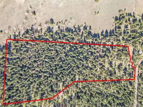 Molly Dr, Conifer, CO 80433 photo 33