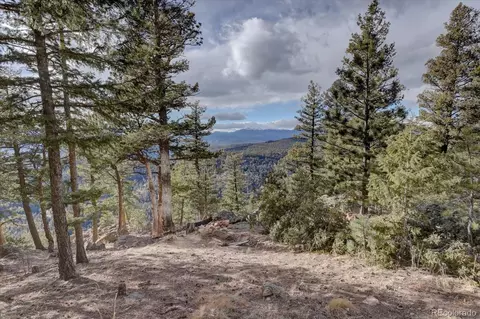 13391 Callae Dr, Conifer, CO 80433 photo 44