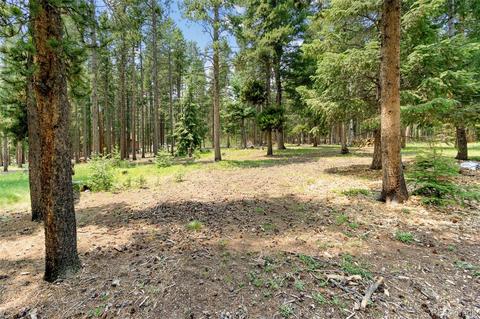 32258 Stenzel Dr, Conifer, CO 80433 photo 24