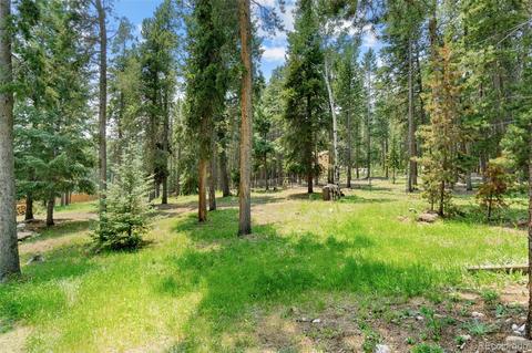 32258 Stenzel Dr, Conifer, CO 80433 photo 25