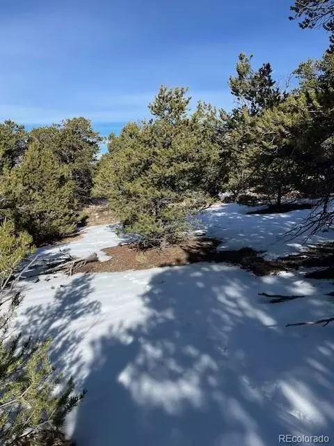 209 Blanca Pl, Mosca, CO 81146 photo 13