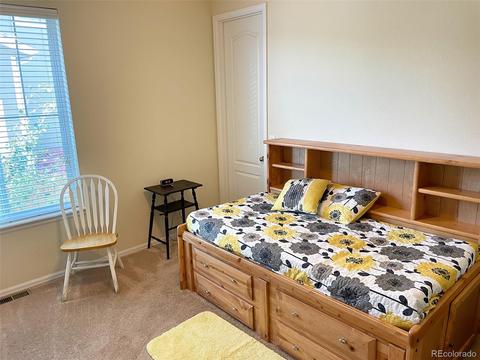 2390 E 160th Pl, Thornton, CO 80602 photo 23