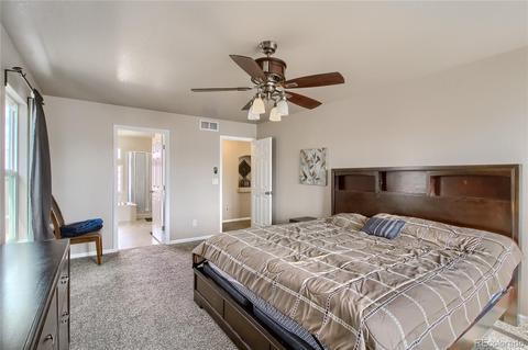 19309 E 50th Dr, Denver, CO 80249 photo 15
