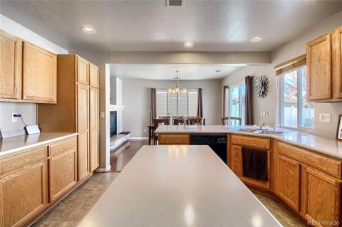 19309 E 50th Dr, Denver, CO 80249 photo 12