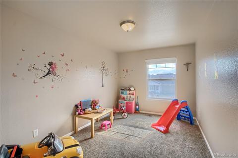 19309 E 50th Dr, Denver, CO 80249 photo 22