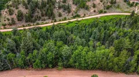 762 Little Topsey Dr, Cripple Creek, CO 80813