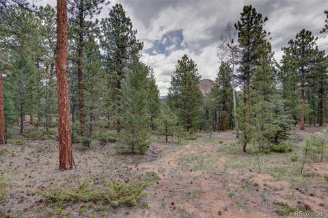 1974 Woodside Dr, Pine, CO 80470 photo 36