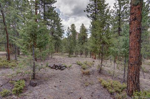 1974 Woodside Dr, Pine, CO 80470 photo 35