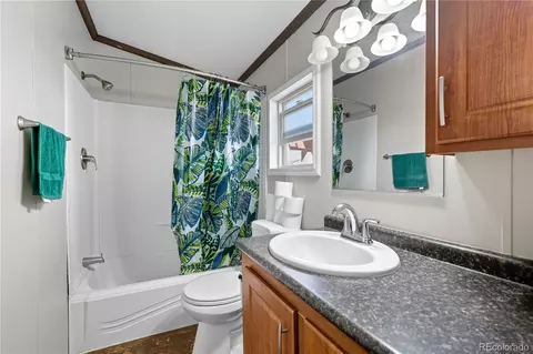 5140 E 96th Pl, Denver, CO 80229 photo 18