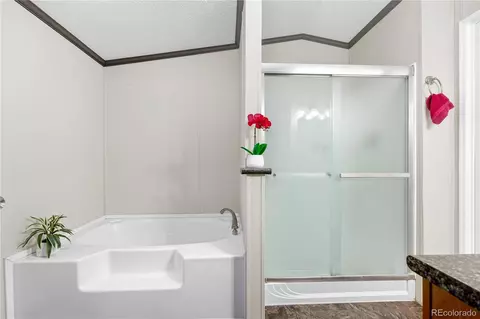 5140 E 96th Pl, Denver, CO 80229 photo 14