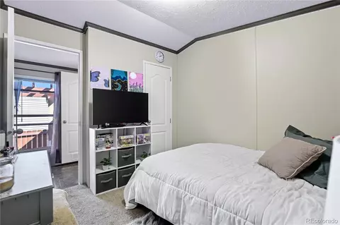 5140 E 96th Pl, Denver, CO 80229 photo 17