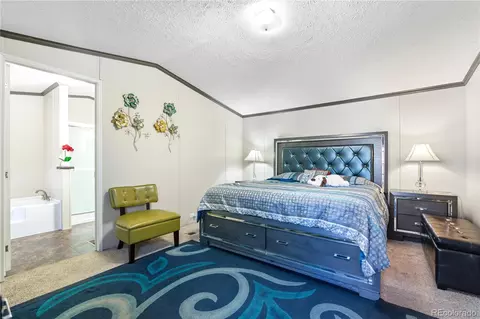 5140 E 96th Pl, Denver, CO 80229 photo 12