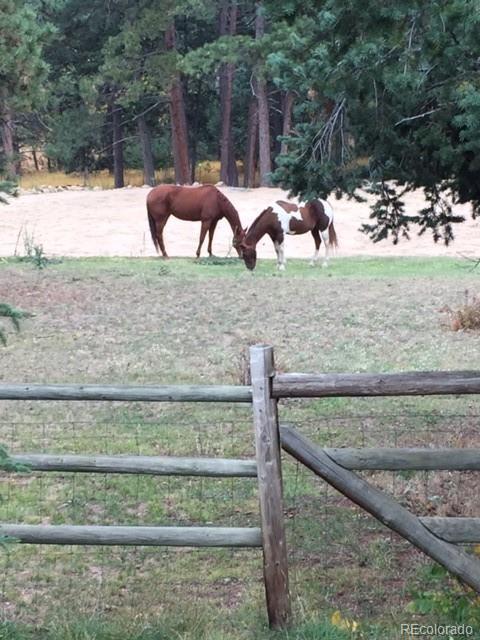 9028 Hillview Rd, Morrison, CO 80465 photo 32