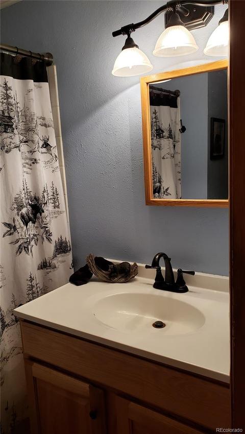 361 S Pine Dr, Bailey, CO 80421 photo 14