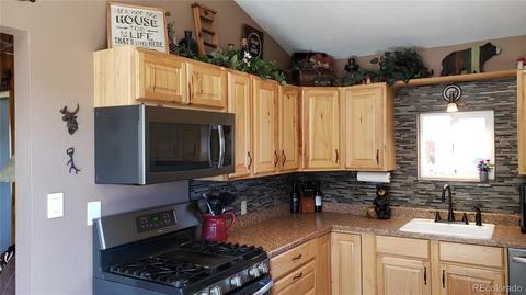 361 S Pine Dr, Bailey, CO 80421 photo 6