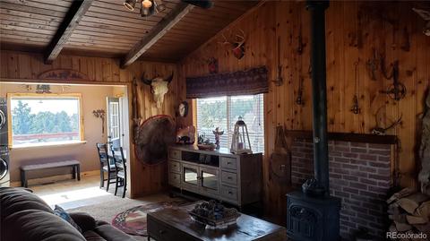 361 S Pine Dr, Bailey, CO 80421 photo 2