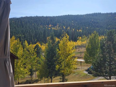 361 S Pine Dr, Bailey, CO 80421 photo 33