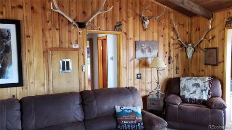 361 S Pine Dr, Bailey, CO 80421 photo 4