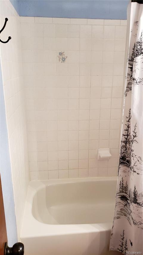 361 S Pine Dr, Bailey, CO 80421 photo 15