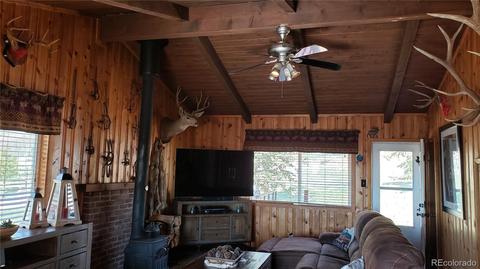 361 S Pine Dr, Bailey, CO 80421 photo 3
