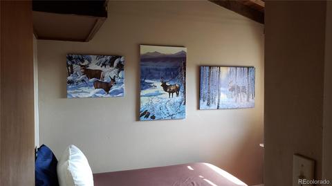 361 S Pine Dr, Bailey, CO 80421 photo 12