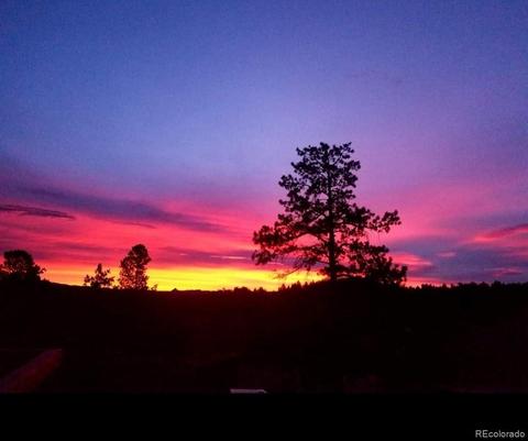 361 S Pine Dr, Bailey, CO 80421 photo 32