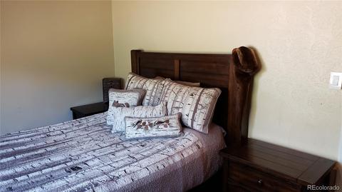 361 S Pine Dr, Bailey, CO 80421 photo 10