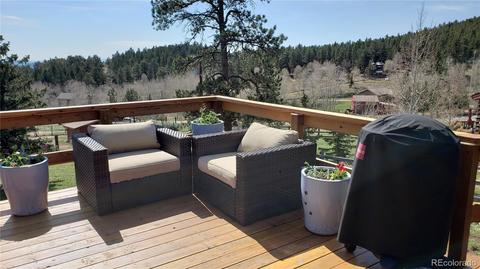 361 S Pine Dr, Bailey, CO 80421 photo 21