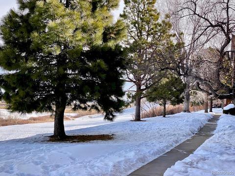 429 Wright St #104, Lakewood, CO 80228 photo 13