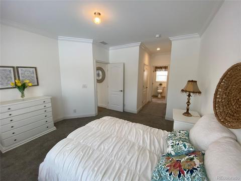 3510 E 90th Pl, Thornton, CO 80229 photo 19