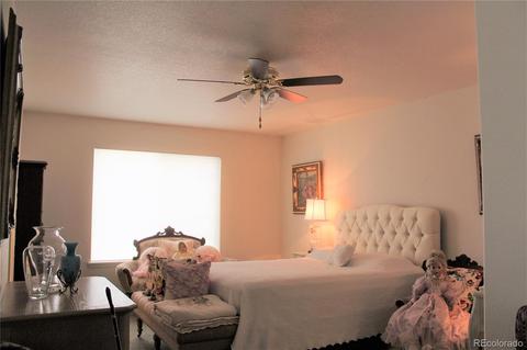 21095 E 53rd Pl, Denver, CO 80249 photo 33