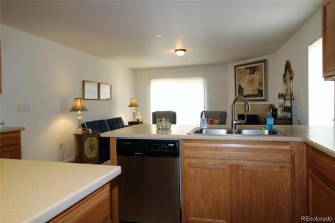 21095 E 53rd Pl, Denver, CO 80249 photo 15