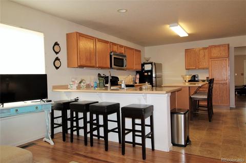 21095 E 53rd Pl, Denver, CO 80249 photo 13