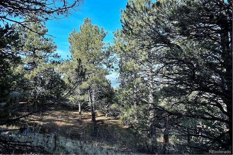 778 Commanche Rd, Westcliffe, CO 81252 photo 4