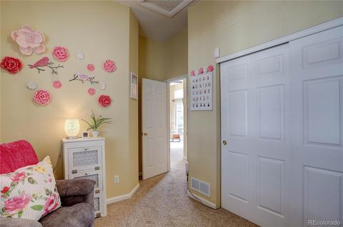5262 E 119th Ct, Thornton, CO 80233 photo 20
