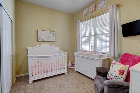 5262 E 119th Ct, Thornton, CO 80233 photo 19