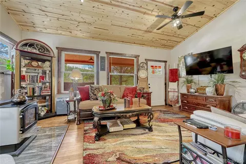 133 Brown St, Bailey, CO 80421 photo 11