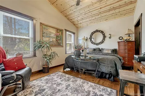 133 Brown St, Bailey, CO 80421 photo 20