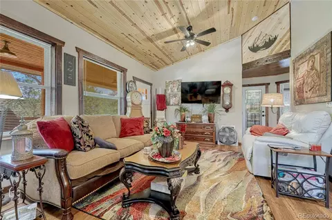 133 Brown St, Bailey, CO 80421 photo 12