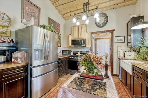 133 Brown St, Bailey, CO 80421 photo 10