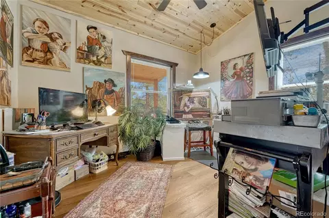 133 Brown St, Bailey, CO 80421 photo 16