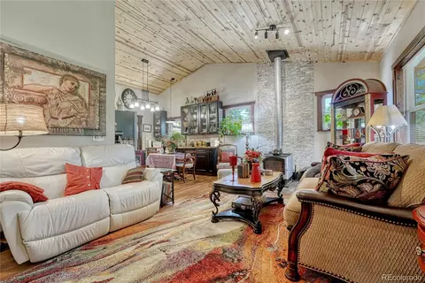 133 Brown St, Bailey, CO 80421 photo 14