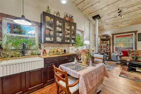 133 Brown St, Bailey, CO 80421 photo 7