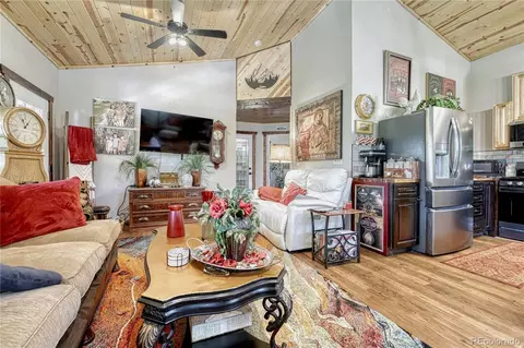133 Brown St, Bailey, CO 80421 photo 13