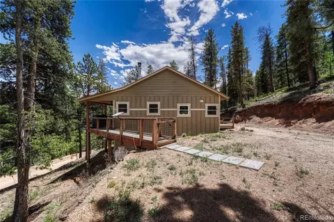 133 Brown St, Bailey, CO 80421 photo 4