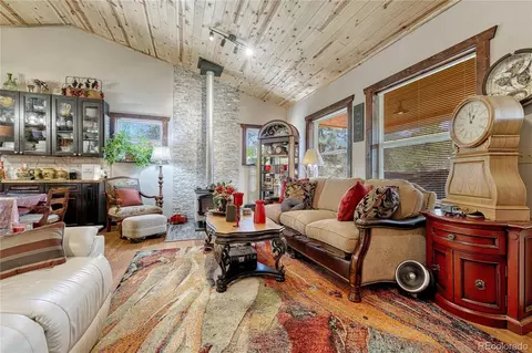 133 Brown St, Bailey, CO 80421 photo 15