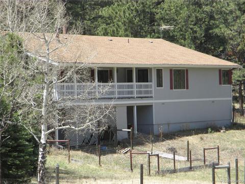 57 Spring Dr, Pine, CO 80470 photo 33