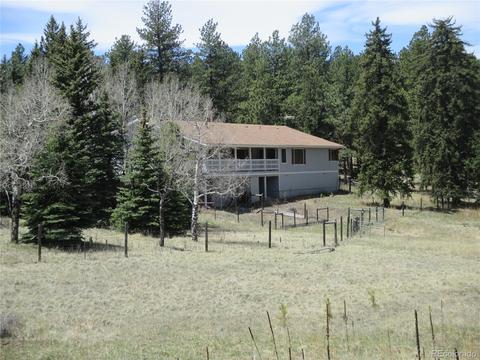 57 Spring Dr, Pine, CO 80470 photo 34