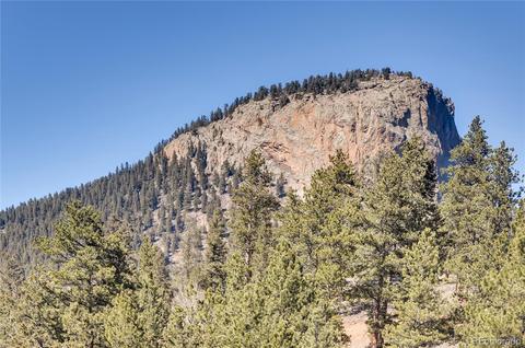 57 Spring Dr, Pine, CO 80470 photo 29